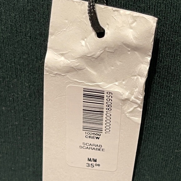 Aritzia TNA HomeStretch Ribbed Cotton Crewneck Long Sleeve Shirt Scarab Green - Picture 8 of 10